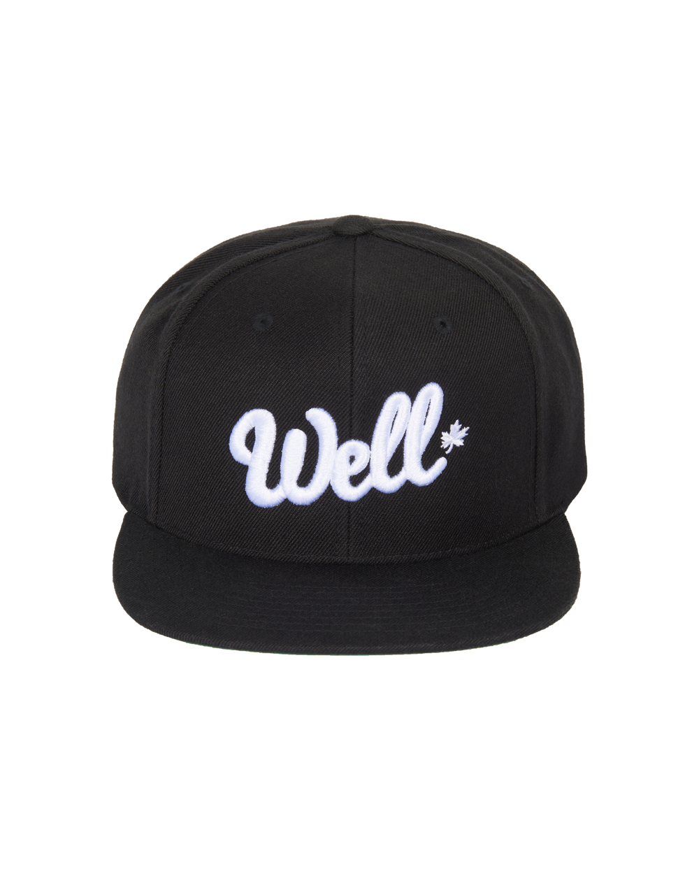 Well Snapback