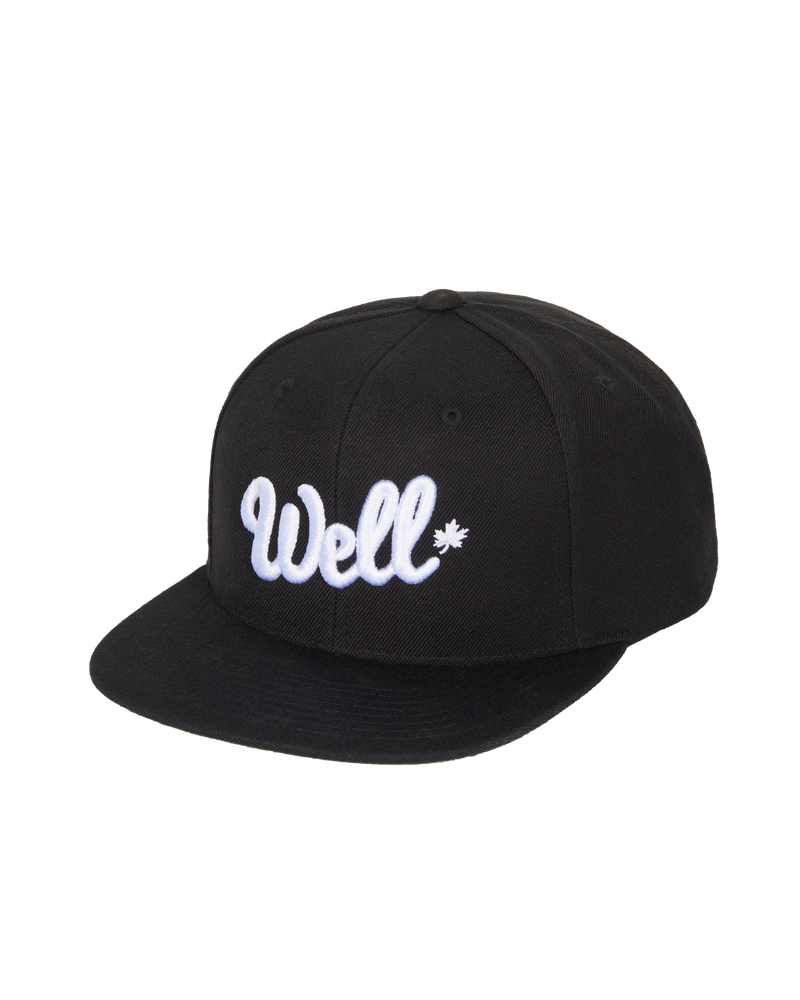 
                  
                    Well Snapback
                  
                