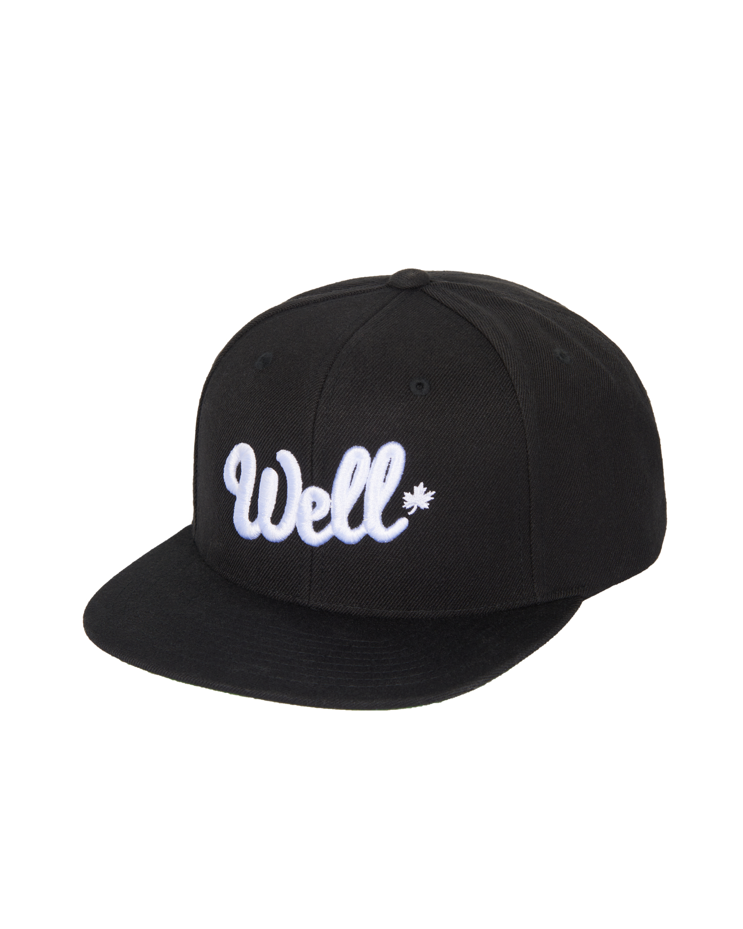 
                  
                    Well Snapback
                  
                