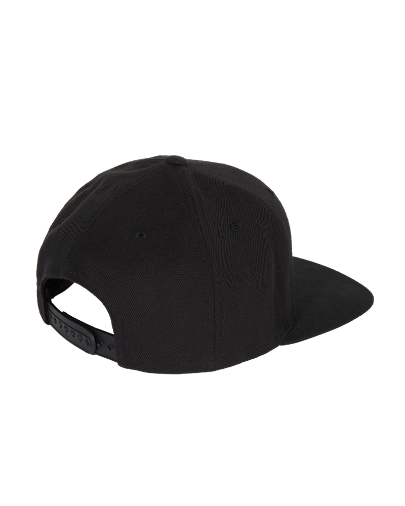 
                  
                    Well Snapback
                  
                